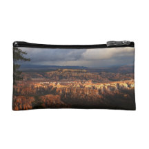 Bryce Canyon Landscape After Storm Cosmetic Bags