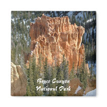 Bryce Canyon National Park Refrigerator Magnets