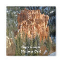 Bryce Canyon National Park magnets by ribizlifozelek Bryce Canyon National Park magnets