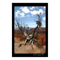 Bryce Canyon posters