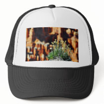 Bryce Canyon Rim hats by lifesphere Bryce Canyon Rim hats