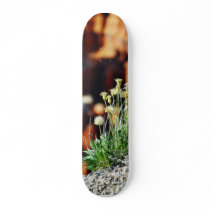 Bryce Canyon Rim skateboards by lifesphere Bryce Canyon Rim skateboards