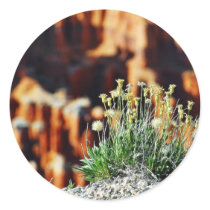 Bryce Canyon Rim stickers by lifesphere Bryce Canyon Rim stickers