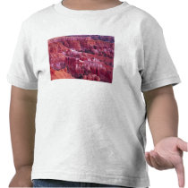 Bryce Canyon, Utah, USA T Shirt