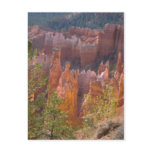Bryce Post Card