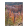Bryce Post Card
