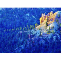 Bryce Sunrises Forests photo sculptures