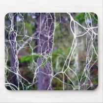 Bryoria capillaris mousepads