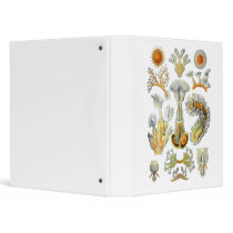 Bryozoa Vinyl Binder