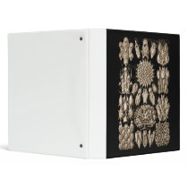 Bryozoa Vinyl Binders