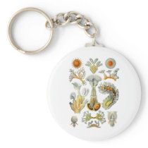 Bryozoa Keychain