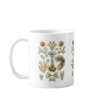 Bryozoa Coffee Mugs