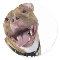 bsl, APBT stickers