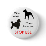 BSL PIN