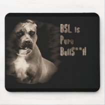 BSL is bs mouse pad