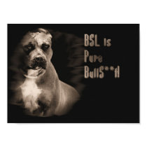 BSL is bs poster posters by quacked BSL is bs poster posters