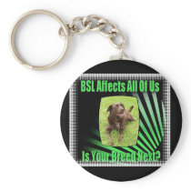 BSL KEY CHAINS
