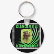 BSL keychains by pbocadmin BSL keychains