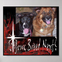 BSL Poster