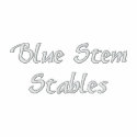 BSS Zipper Hoodie embroidered shirts