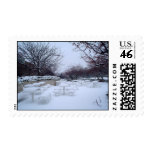 BSU in Winter Postage