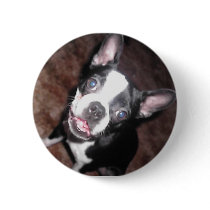 BT button