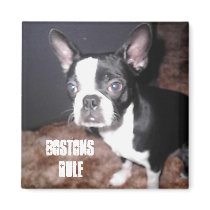 BT Magnet by zazzle857 BT Magnet