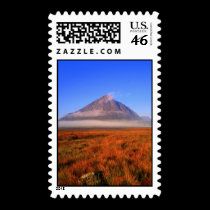 buachailleetivemor stamps