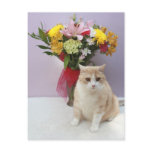 Bubba by Flowers Postcards