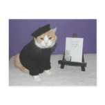 Bubba, Chat d'artiste Post Cards