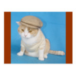 Bubba Kitty Postcards