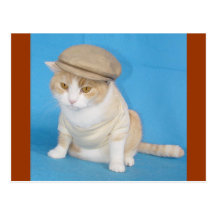 Bubba Kitty Postcards