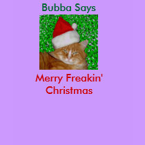 Bubba Says, Merry Freakin Christmas Shirt