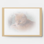 Bubba the Orange Tabby Tomcat Envelope