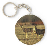Bubba's Buck Keychains