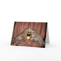 Bubbles for Bengals cards