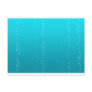 Bubbles I Post Card