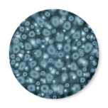 Bubbles of Blue Refrigerator Magnet