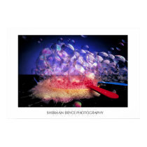 Bubbles posters by virtualmx Bubbles posters
