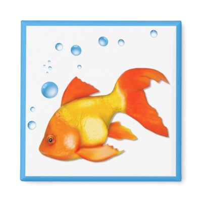 Bubbles the Goldfish Magnet by Spice