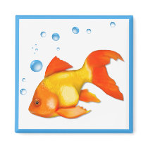 Bubbles the Goldfish magnets