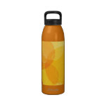 Bubbles Water Bottles