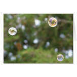 Bubblin' Fun Greeting Cards