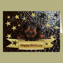 Bubbly Birthday cards