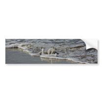 Bubbly Oregon Surf Bumper Sticker