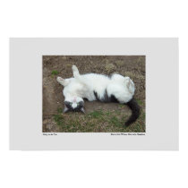 Bubby in the Dirt posters