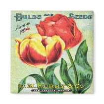 Bubs and Seeds Red and Yellow Tulip Magnet
