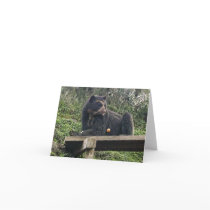 Bubu Avocado Notecard