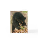 Bubu Notecard PB1 card