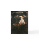 Bubu Notecard PB3
